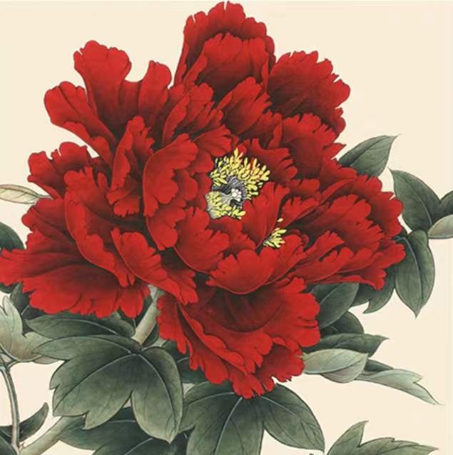 Una Peonía Floreciente de Pétalos Rojos con Hojas Verdes Pintar por Números