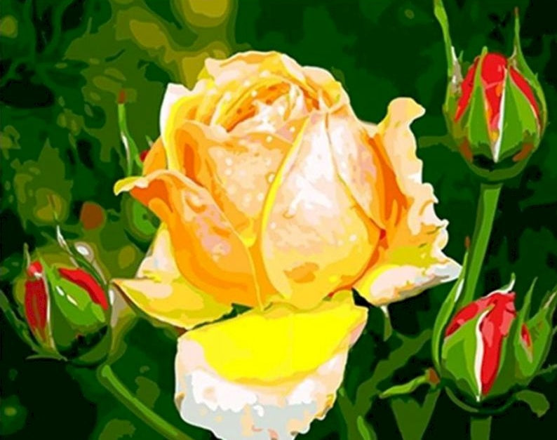 Una Rosa Amarilla y Capullos de Rosas Rojas Pintar por Números