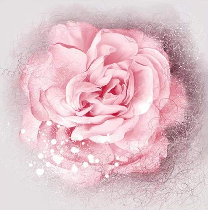 Una Rosa Bonita de Pétalos de Color Rosado Claro Pintar por Números