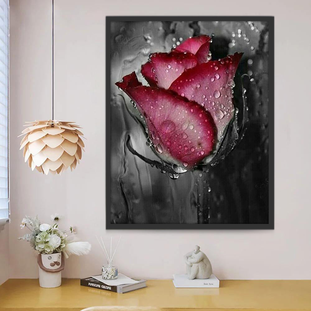 Una Rosa de Pétalos Rojos con Gotas de Agua Pintar por Números
