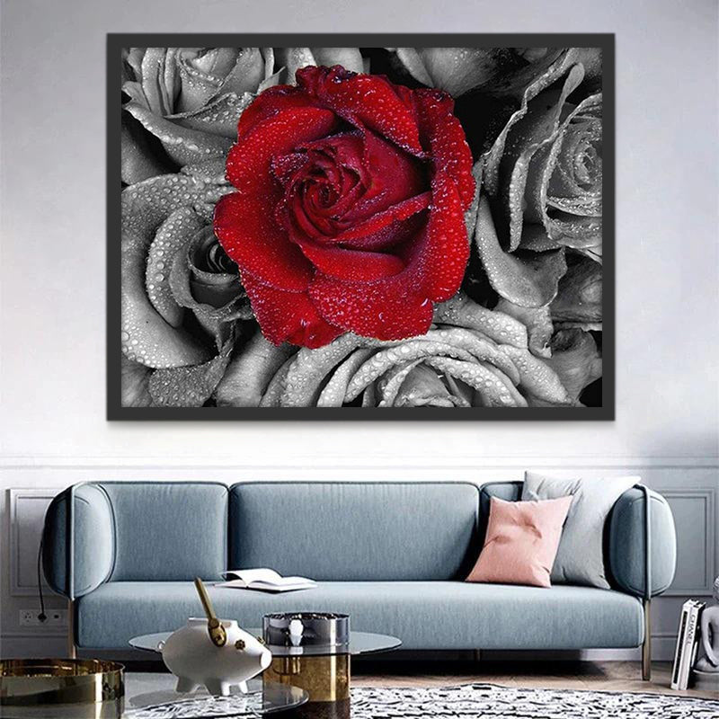 Una Rosa Roja en las Rosas Grises con Gotas de Agua Pintar por Números