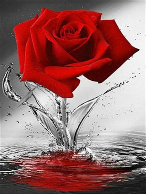 Una Rosa Roja sobre Agua Salpicada Pintar por Números