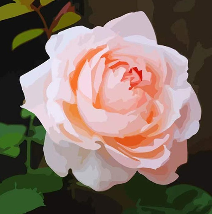Una Rosa Rosada Clara entre Hojas Verdes Pintar por Números