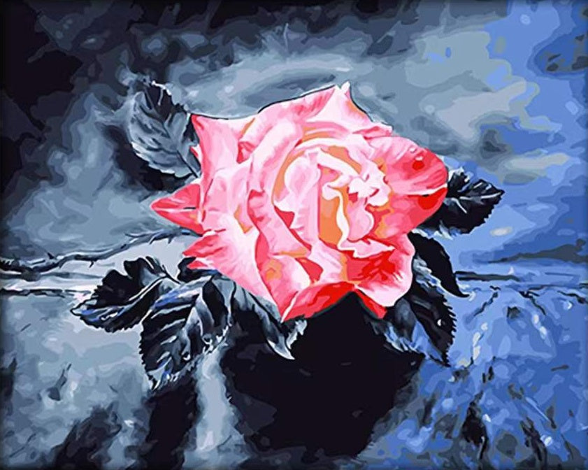 Una Rosa Rosada de Hojas Negras Pintar por Números