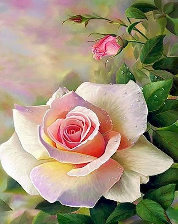 Una Rosa Rosada Floreciente y Capullos Pintar por Números
