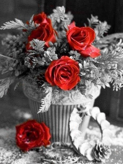 Unas Rosas Rojas entre Ramo de Flores Grises Pintar por Números