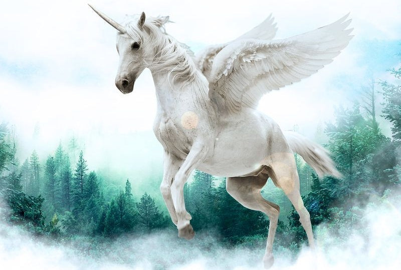 Unicornio Blanco Volando sobre Bosque Verde Pintar por Números