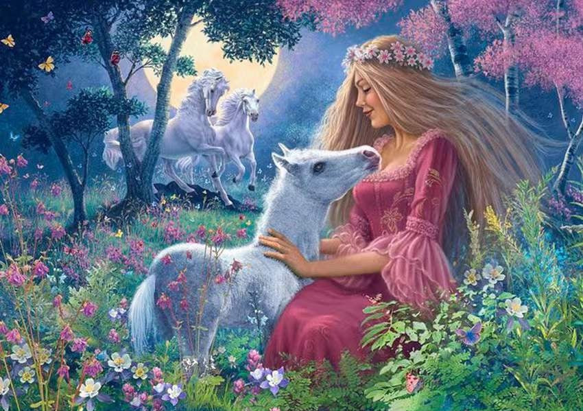 Unicornio y Princesa en Prado de Flores Pintar por Números