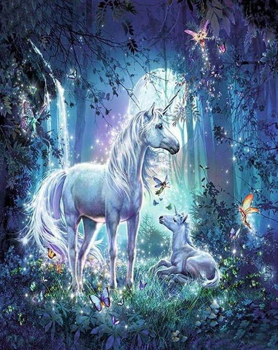 Unicornios en Bosque Azul Mágico Pintar por Números Niños