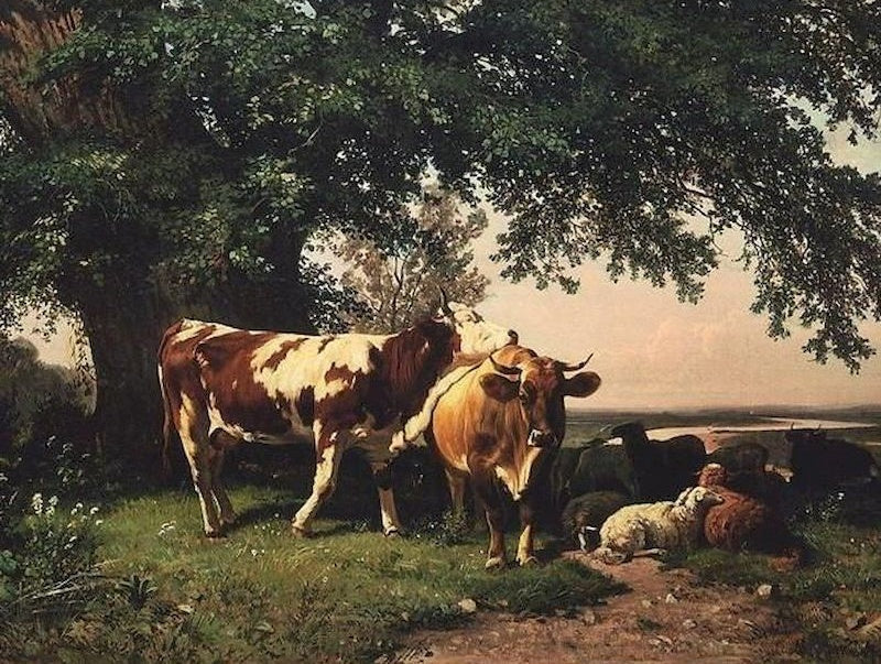 Vacas y Corderos en Césped Pintar por Números
