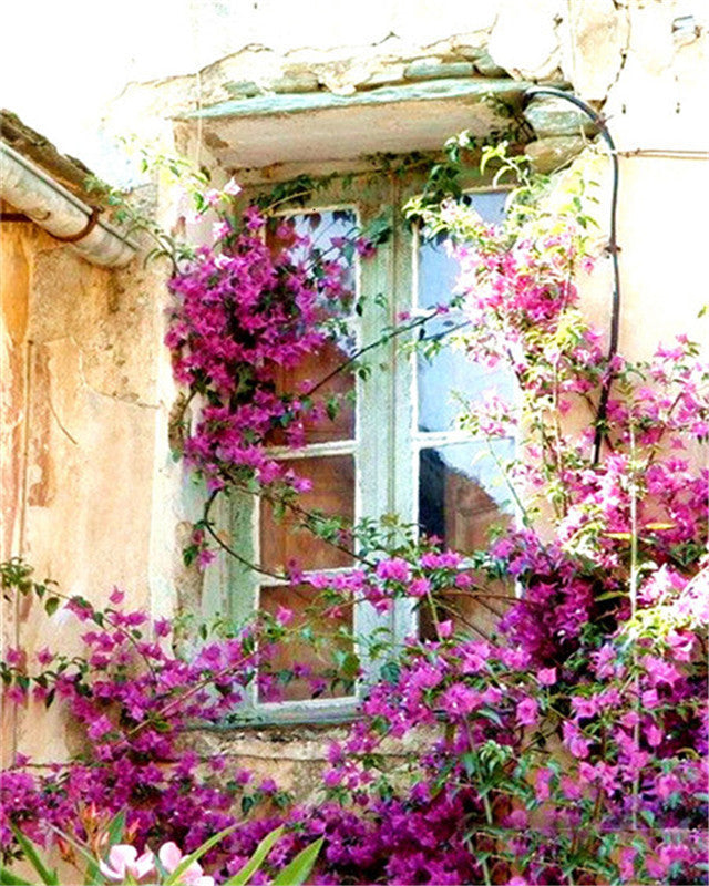 Ventana y Flores Moradas en la Pared Pintar por Números