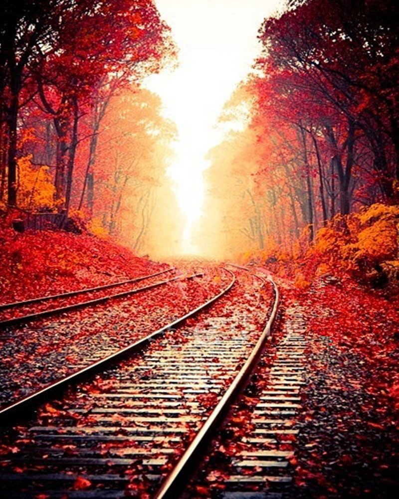 Vías de Tren en el Bosque Otoñal Pintar por Números