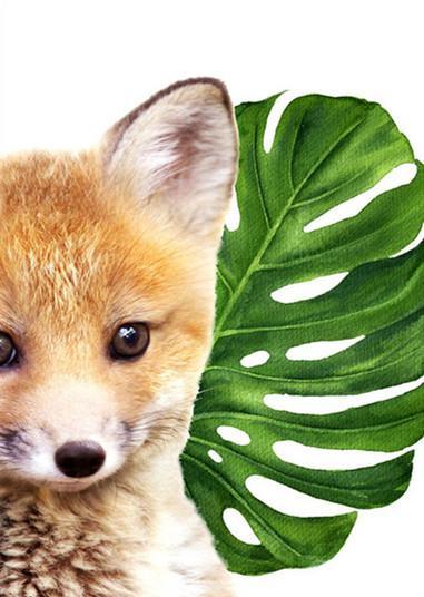 Zorro Pequeño y Hoja de Monstera Deliciosa Pintar por Números