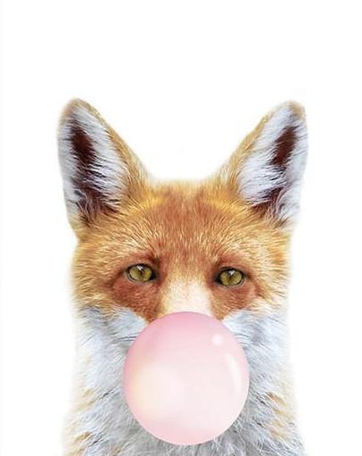 Zorro Rojo con Burbuja Rosada de Chicle Pintar por Números