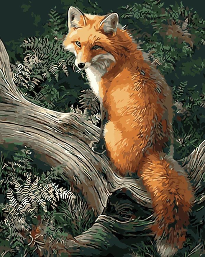 Zorro Rojo Sentado sobre Tronco de Árbol Pintar por Números